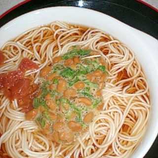 しそ納豆そうめん～梅つゆで～